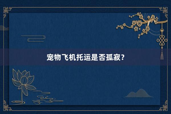 宠物飞机托运是否孤寂？